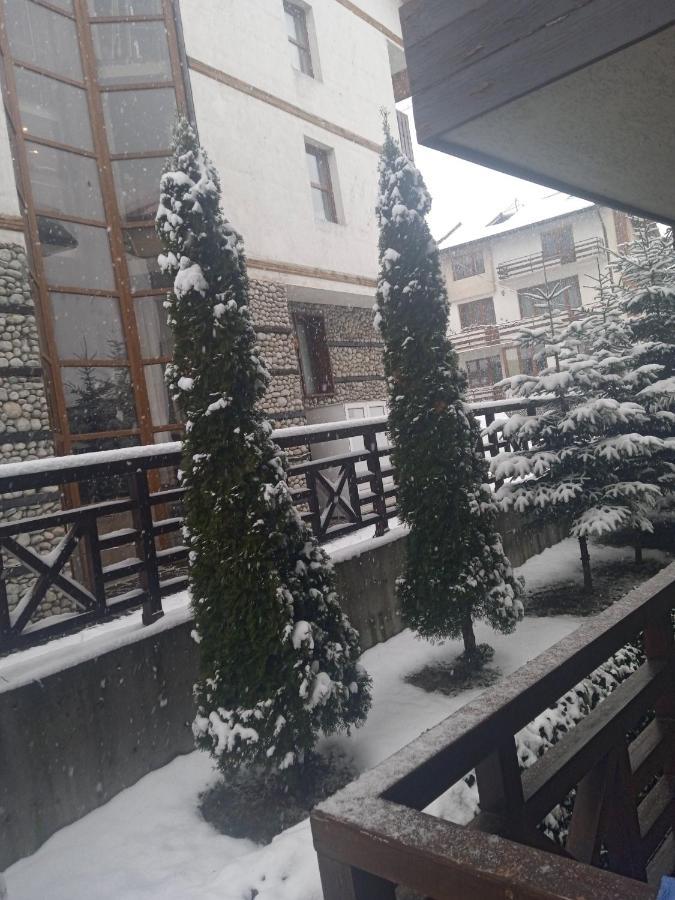 Mila Vip Apartment Bansko Buitenkant foto