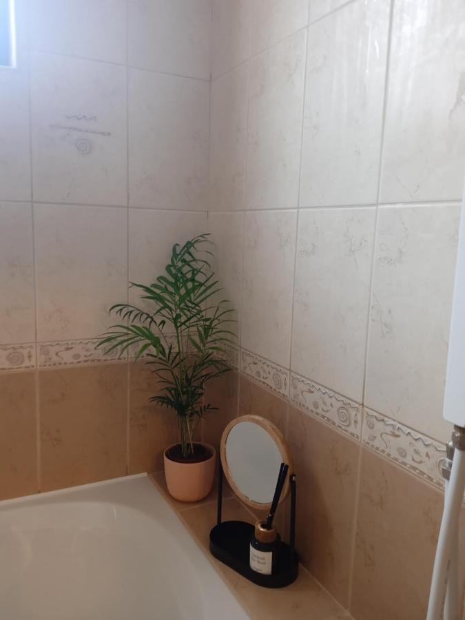Mila Vip Apartment Bansko Buitenkant foto