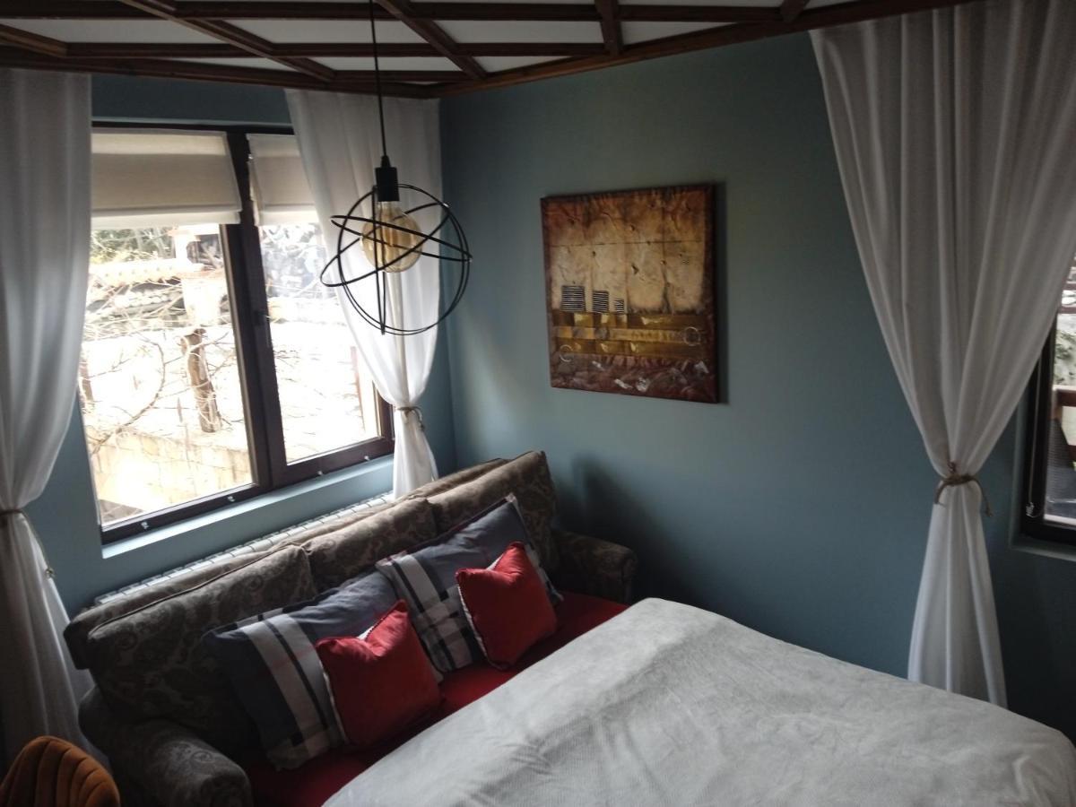 Mila Vip Apartment Bansko Buitenkant foto